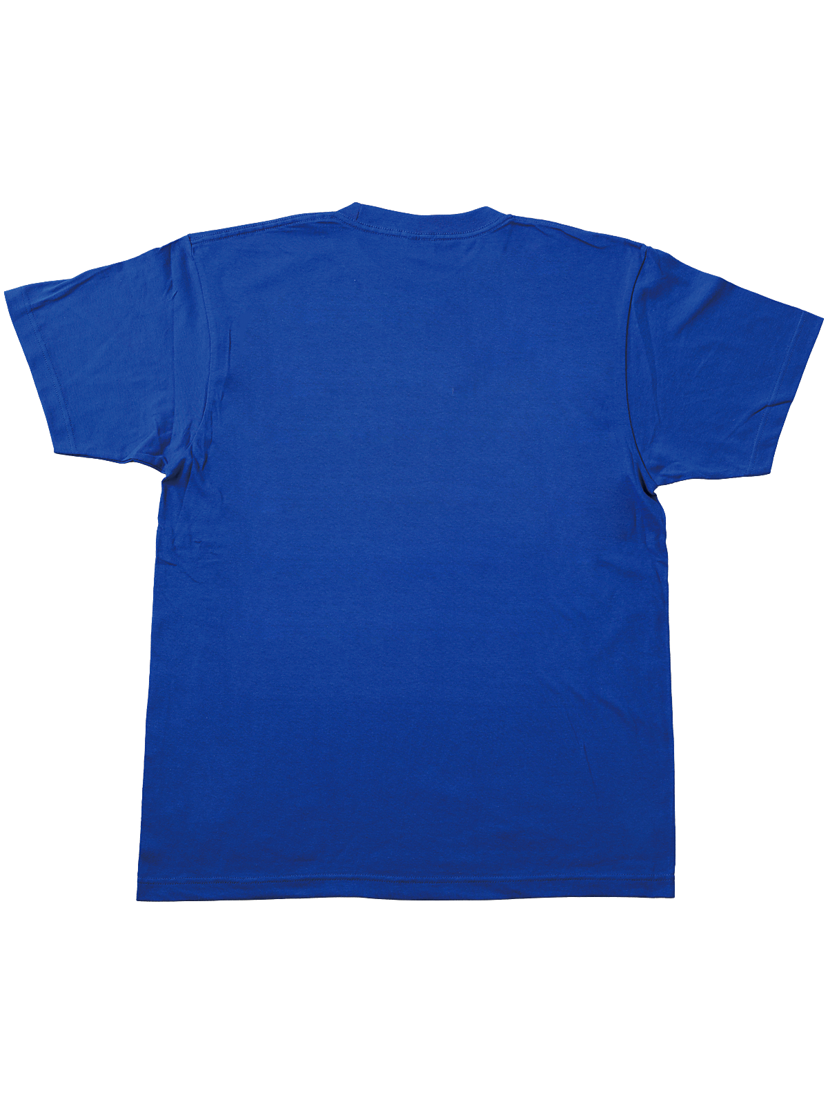 白浜いるか 生誕祭2026年 記念Tシャツ